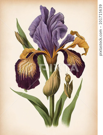 Iris Flower Botanical Illustration, Blue Spring Flowers Realistic Painting, Abstract Generative AI Illustration 101715639