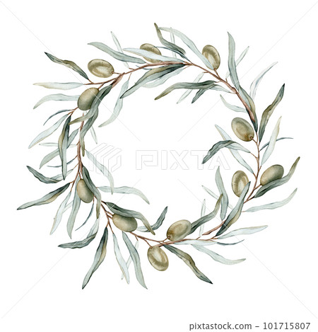 Watercolor round wreath with green olive berries and leaves.. Design for menu, greeting card. Hand painted floral border with olive fruit and tree branches with leaves isolatedon white background. 101715807