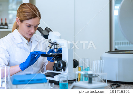 Female scientist looking petri dish with genetically modified sample chemicals under microscope Female scientist looking petri dish with genetically modified sample chemicals under microscope 101716301