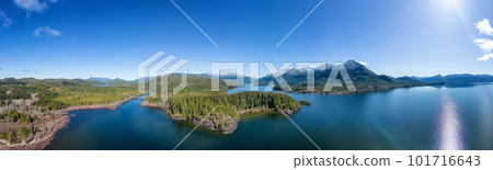 Aerial Panoramic View of Canadian Mountain Landscape and Lake. 101716643