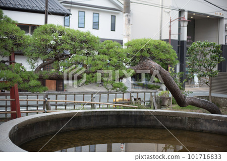 View of Okama Shrine in Shiogama City, Miyagi Prefecture 101716833