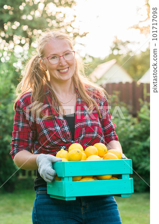 Farmer woman holding wooden box full of fresh raw vegetables copy space. Basket with vegetable cabbage, carrots, cucumbers, radish, salad, garlic and pepper in female hands. 101717098