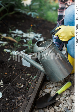 Woman in her garden water with watering can plants in garden. Concept gardening spring and bio and ecological 101717138