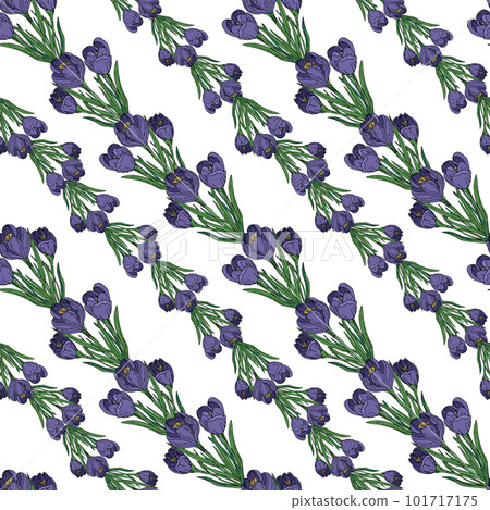 Seamless pattern a crocus on an isolated background 101717175
