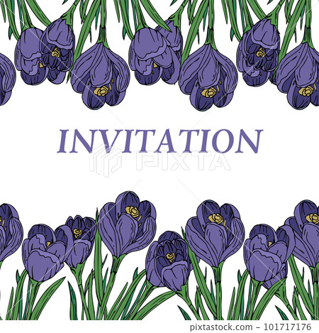 Seamless pattern a crocus with a text on an isolated background Seamless pattern a crocus with a text on an isolated background 101717176