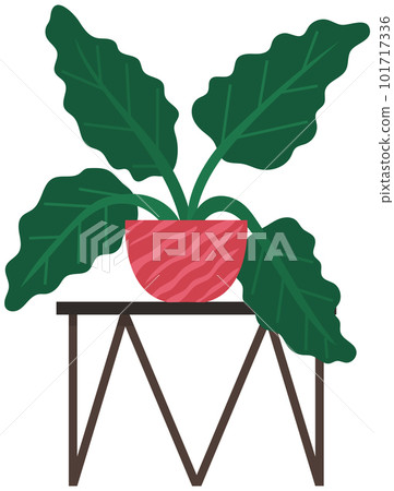 Decorative green plant with long leaves in ceramic pot, pot with houseplant. Home interior plant Decorative green plant with long leaves in ceramic pot, pot with houseplant. Home interior plant 101717336