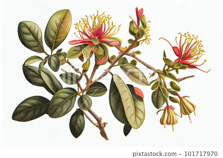 Lonicera Periclymenum Botanical Illustration, Honeysuckles, Abstract Generative AI Illustration 101717970