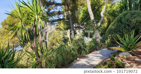 Exotical part of Villa & gardens Ephrussi de Rothschild in Saint-Jean-Cap-Ferrat Exotical part of Villa & gardens Ephrussi de Rothschild in Saint-Jean-Cap-Ferrat 101719072