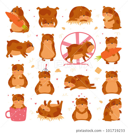 Cute hamster in everyday activities big set. Funny brown pet rodent cartoon vector illustration 101719233