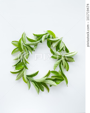 frame workspace with green leaves on white background. lay flat, top view frame workspace with green leaves on white background. lay flat, top view 101719474