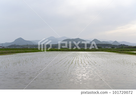 Rural landscape before rice planting 101720072