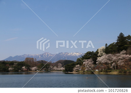 Cherry blossoms and the Nasu mountain range seen from the famous Tohoku garden Nanko Park Cherry blossoms and the Nasu mountain range seen from the famous Tohoku garden Nanko Park 101720826