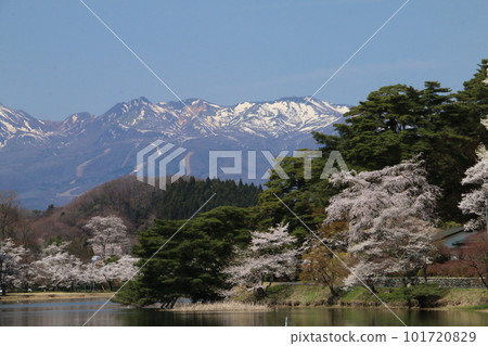 從著名的東北花園南港公園眺望櫻花和那須山脈 從著名的東北花園南港公園眺望櫻花和那須山脈 101720829