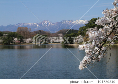 從著名的東北花園南港公園眺望櫻花和那須山脈 從著名的東北花園南港公園眺望櫻花和那須山脈 101720830
