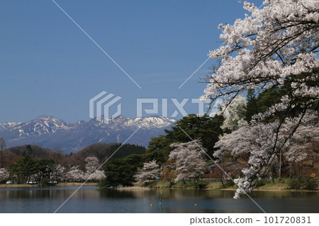 從著名的東北花園南港公園眺望櫻花和那須山脈 從著名的東北花園南港公園眺望櫻花和那須山脈 101720831