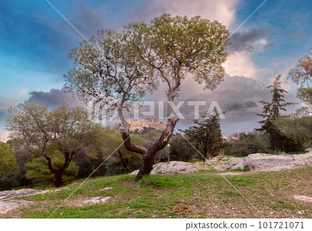 Athens. Parthenon building on the Acropolis hill. 101721071