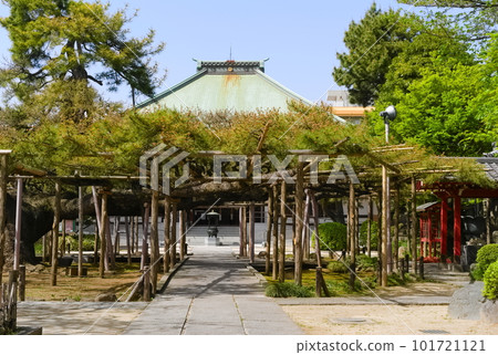 2023 年 4 月,東京江戶川區善養寺周圍的風景 2023 年 4 月,東京江戶川區善養寺周圍的風景 101721121