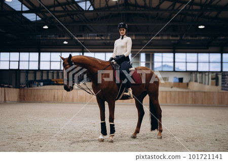 A young equestrian in uniform poses with a beautiful, majestic horse. 101721141
