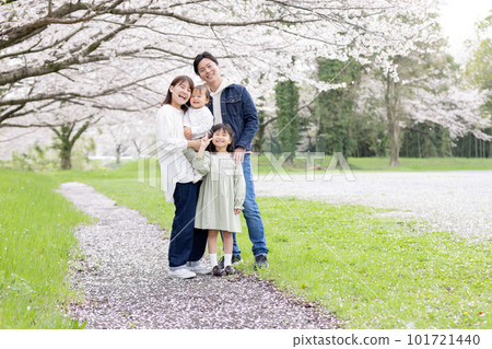 Family walking in a cherry blossom park 101721440