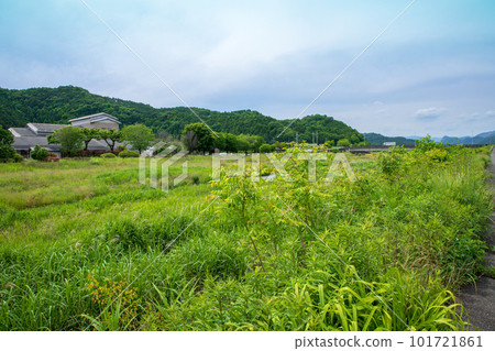Akiyama Riverside Early Summer Country Scenery Near Kuzuu Act Plaza Akiyama Riverside Early Summer Country Scenery Near Kuzuu Act Plaza 101721861