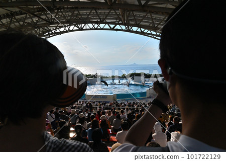 Ocean Expo Park dolphin show 101722129