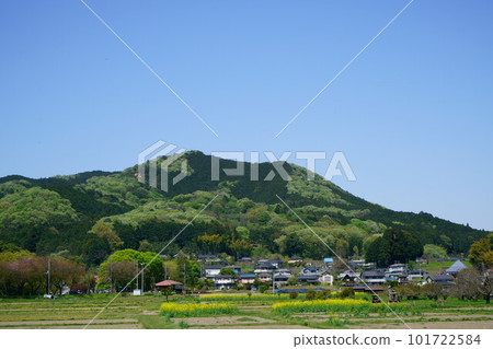 4497 Spring Hiwadayama 4497 Spring Hiwadayama 101722584