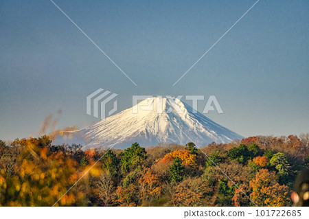 從位於狹山丘陵的多摩湖北岸看冬季的富士山 101722685
