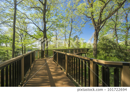 Adventure forest observation deck in fresh green Noyama Kita Park 101722694