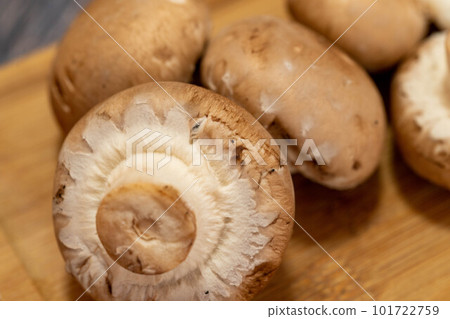 看起來很好吃的蘑菇 看起來很好吃的蘑菇 101722759