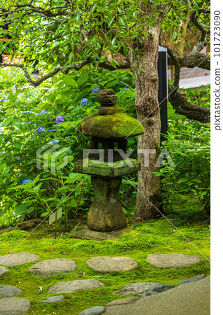 Early summer in the ancient capital of Kamakura Engakuji sub-temple Butsujian Tea room ``Kosokuken'' 101723090