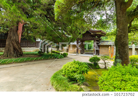 初夏的古都鎌倉,綠意盎然的圓覺寺前 初夏的古都鎌倉,綠意盎然的圓覺寺前 101723702