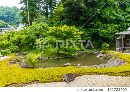 古都鎌倉的初夏,圓覺寺鬱鬱蔥蔥的庭園,北條庭園 古都鎌倉的初夏,圓覺寺鬱鬱蔥蔥的庭園,北條庭園 101723703