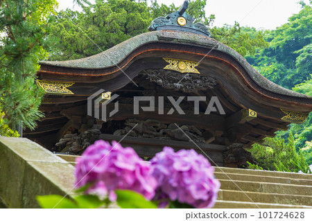 Early summer in the ancient capital of Kamakura Engaku-ji temple with lush greenery Karamon gate and hydrangeas 101724628