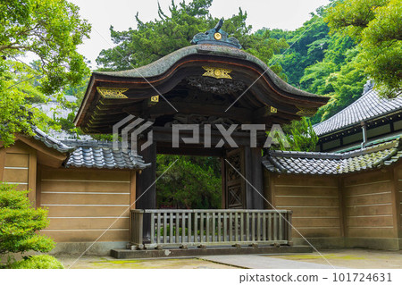 Early summer in the ancient capital of Kamakura Engaku-ji temple with lush greenery Karamon 101724631