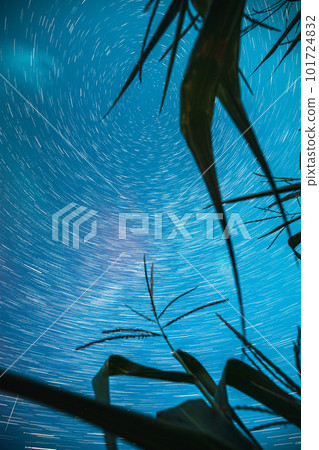 Bright Night Starry Sky Glowing Milky Way Stars And Meteoric Track Trails Above Maize Corn Field. Serenity, Calmness. Power Of Mother Nature Concept. Fantasy, Illusion, Dream View. Spin Of Stars In Bright Night Starry Sky Glowing Milky Way Stars And Meteoric Track Trails Above Maize Corn Field. Serenity, Calmness. Power Of Mother Nature Concept. Fantasy, Illusion, Dream View. Spin Of Stars In 101724832