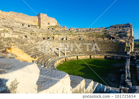 Theater of Miletus in Turkey 101725654