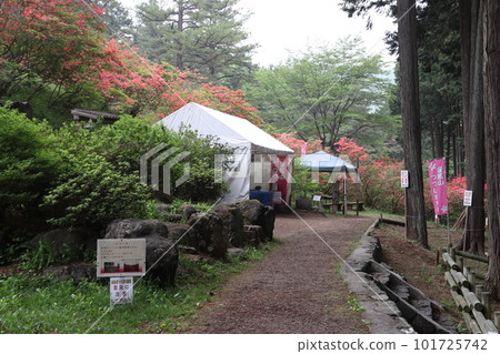 金尾山入口,杜鵑花最佳觀賞時間(埼玉縣大里郡寄居町) 金尾山入口,杜鵑花最佳觀賞時間(埼玉縣大里郡寄居町) 101725742