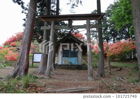 金尾:愛宕神社(埼玉縣大里郡寄居町) 金尾:愛宕神社(埼玉縣大里郡寄居町) 101725749