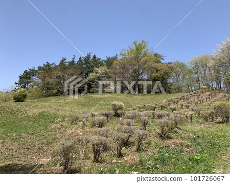 四月鄉下的里山 四月鄉下的里山 101726067