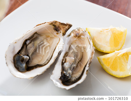 Oysters with lemon on plate Oysters with lemon on plate 101726310