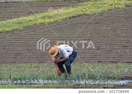 Farmer who grows crops Farmer who grows crops 101726694