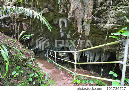 【八重山石窟(古代人民博物館石窟)】沖繩縣石垣市 【八重山石窟(古代人民博物館石窟)】沖繩縣石垣市 101726727