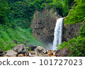 A waterfall where a large amount of water flows down from the rugged rock face 101727023