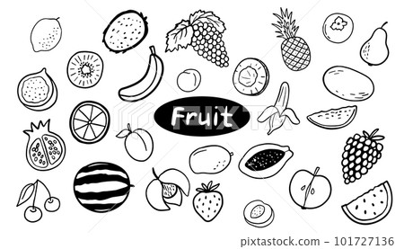 Lemon, apple, banana doodle illustrations. Outline cute fruits isolated on white Lemon, apple, banana doodle illustrations. Outline cute fruits isolated on white 101727136