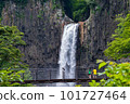 A waterfall where a large amount of water flows down from the rugged rock face 101727464
