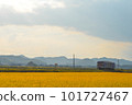 A single train running through the countryside at dusk 101727467