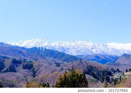 甲社神社的櫻花、信州的櫻花、花草拼成的彩紙 甲社神社的櫻花、信州的櫻花、花草拼成的彩紙 101727660