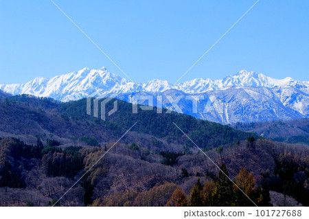 The cherry blossoms of Kosha Shrine, the cherry blossoms of Shinshu, and the colored paper made up of flowers and plants The cherry blossoms of Kosha Shrine, the cherry blossoms of Shinshu, and the colored paper made up of flowers and plants 101727688