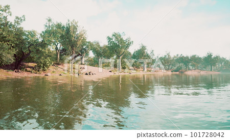 Beautiful lake garden with reflection 101728042