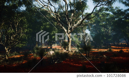Coastal vegetation with trees and shrubs 101728086
